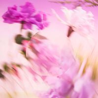 CHANCE EAU SPLENDIDE  100ML-227463 CHANCE EAU SPLENDIDE  100ML-227463 3